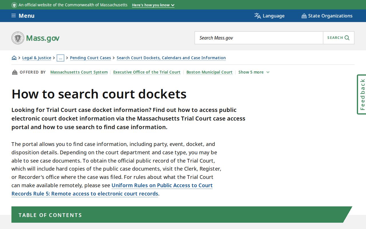 MassCourts docket number instructions for a Middlesex County release record
